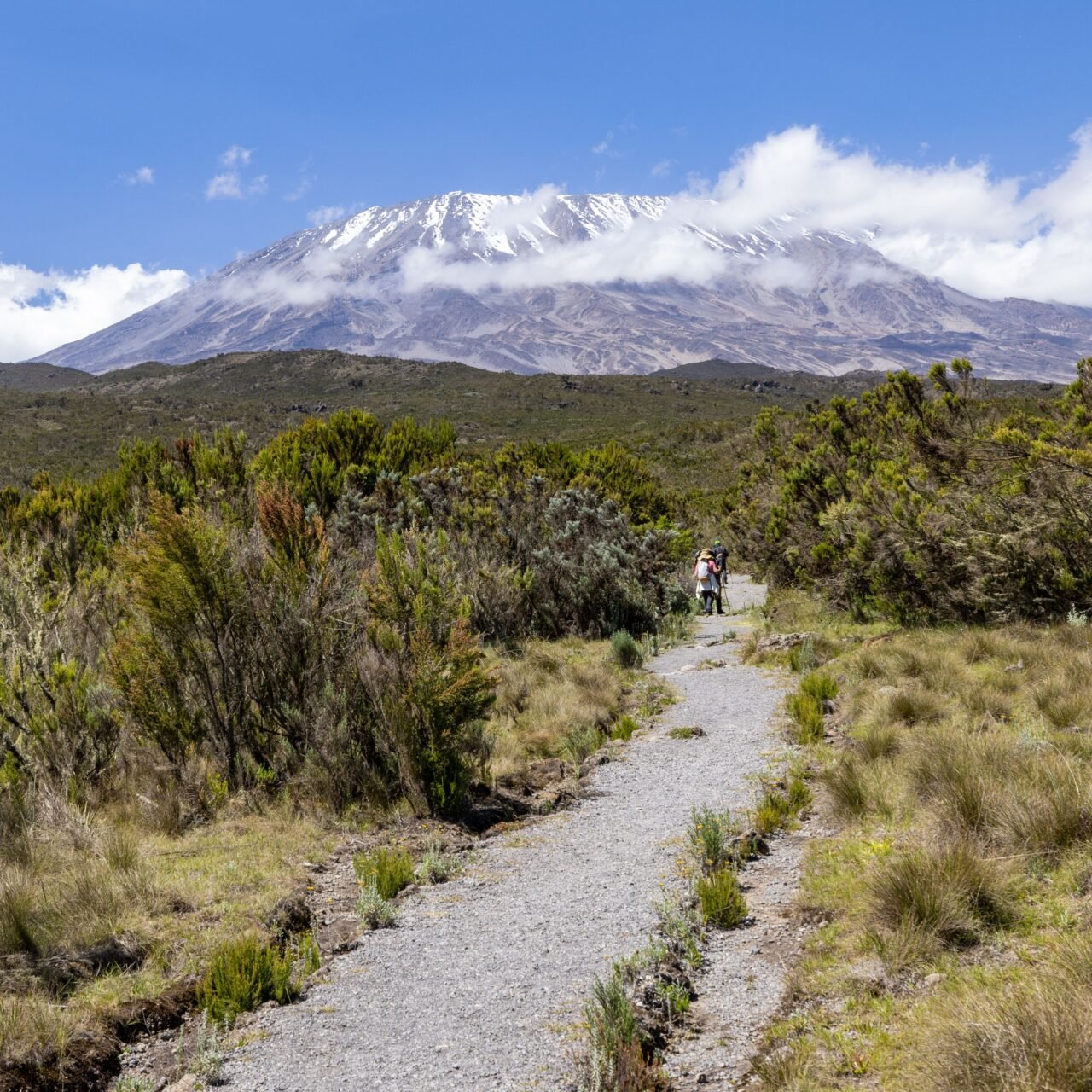 Private Kilimanjaro Climb - Book Guided Summit Trek with Local Mountain Experts