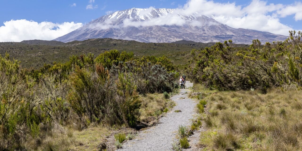 Private Kilimanjaro Climb – Book Guided Summit Trek with Local Mountain Experts