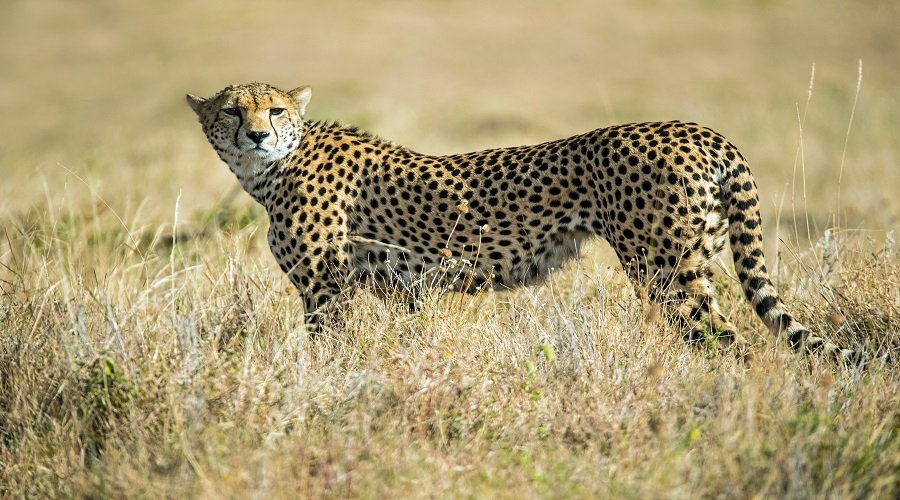 Arusha National Park Canoeing Tour – Book Wildlife, Lakes and Scenic Views