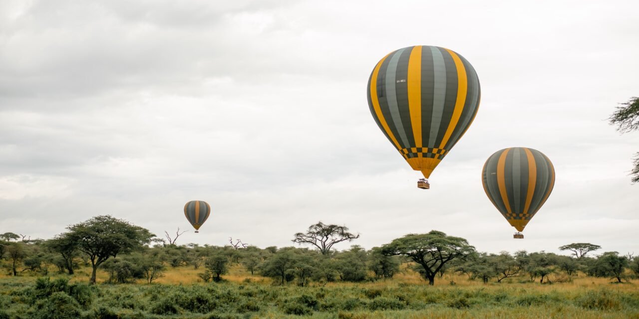Private Serengeti Safari – Book Exclusive Big Cats and Wildlife Tour
