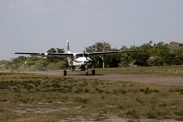 Rubondo Island Fly-In Safari From Serengeti: Cost, Itinerary & Guide 2026-2027
