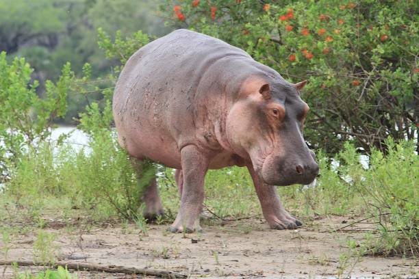 Best Group Joining Ngorongoro day trip from Arusha