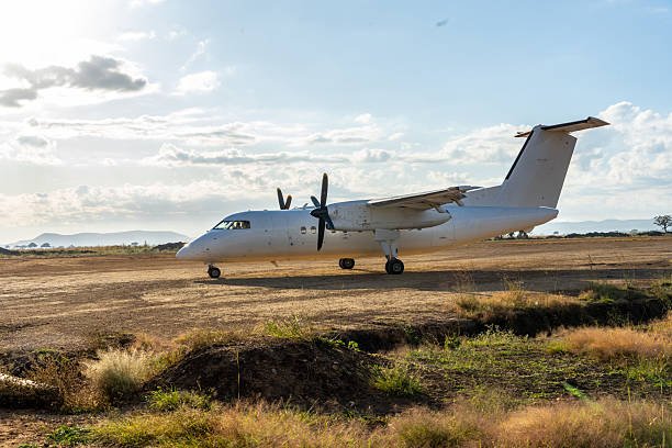 Group Joining Tarangire Day Trip From Arusha: Your Essential Guide 2026-2027