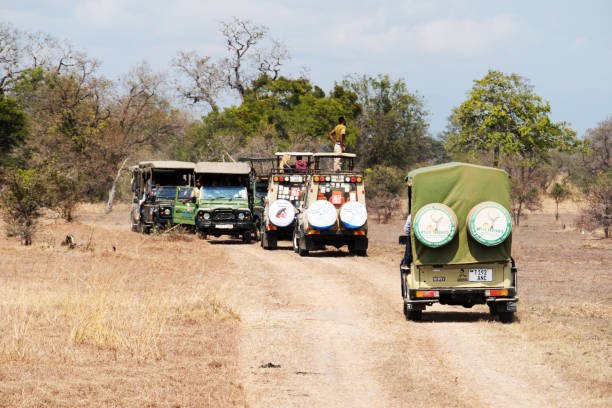 Cheapest Days To Fly To Africa: Smart Planning For 2026-2027