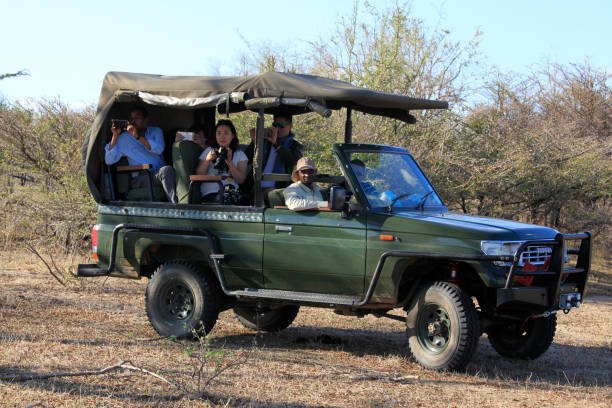 Cheapest Days To Fly To Africa: Smart Planning For 2026-2027