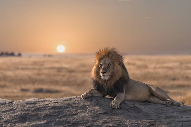 Group Joining Arusha National Park private safari group joining price 2026-2027