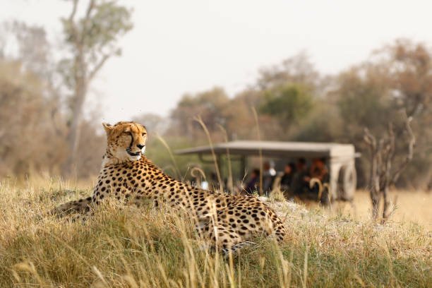 Affordable 1 day Arusha National Park safari cost and packages 2026-2027
