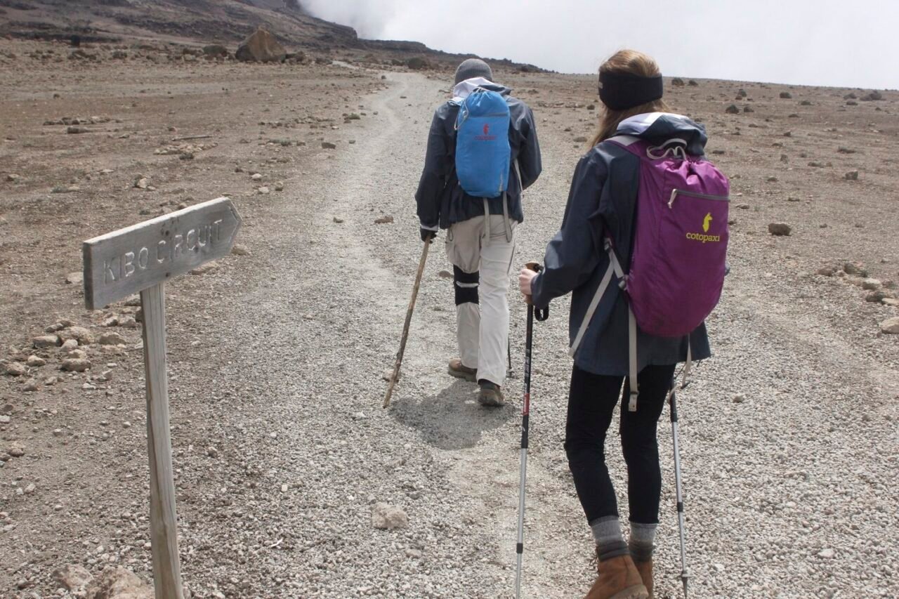 Best 1 Day Umbwe Route Hike From Arusha 2026-2027