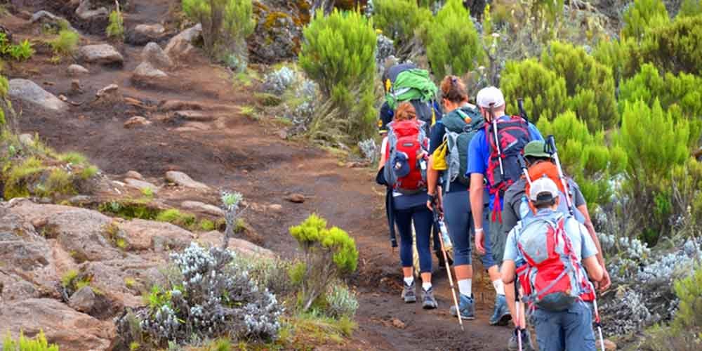 Best 9 days Northern Circuit Kilimanjaro climb itinerary and price 2026-2027