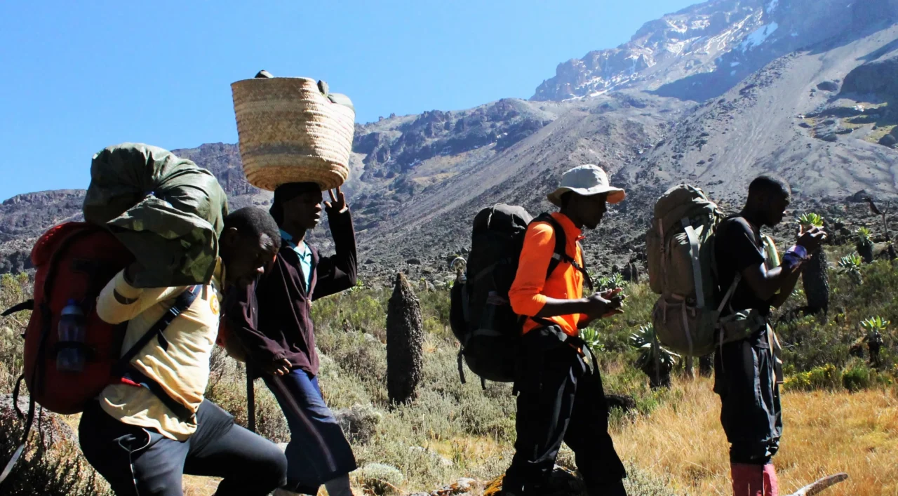 Kilimanjaro Route Prices Compared: Which Offers The Best Value For Climbs?