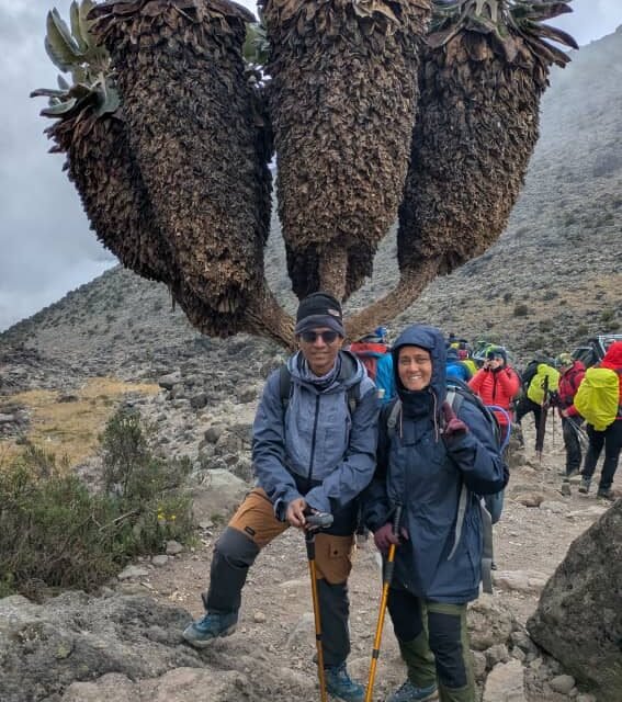 Highest Success Rate Kilimanjaro Route: Expert Trekking Guide 2026-2027-2028