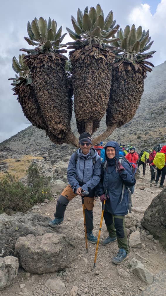 Ultimate Shira Route Vs Lemosho Guide: Expert Trekking 2026-2027-2028