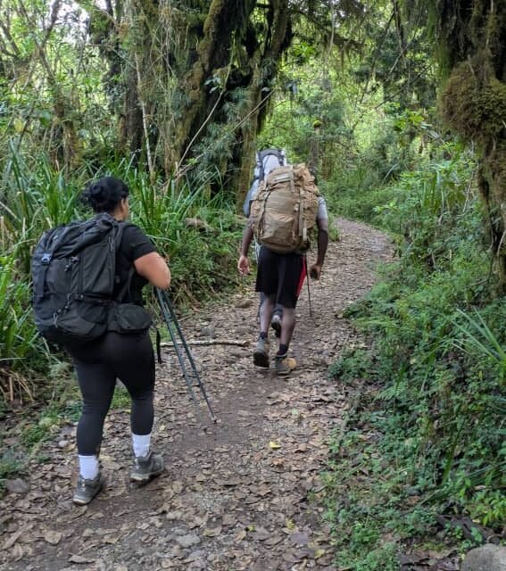 Join 6 Days Machame Route – 29 December 2026 Departures | Year-End Kilimanjaro