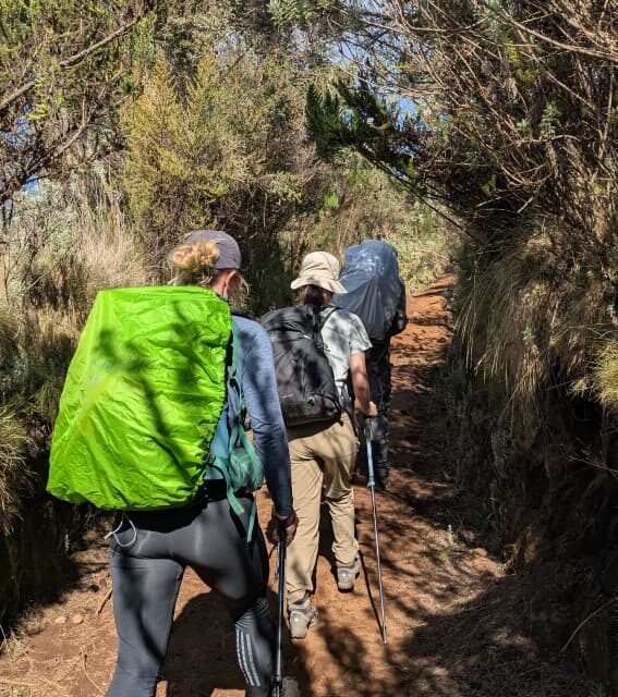 Join 6 Days Marangu Route – 13 November 2026 Departure | BestKilimanjaro Date