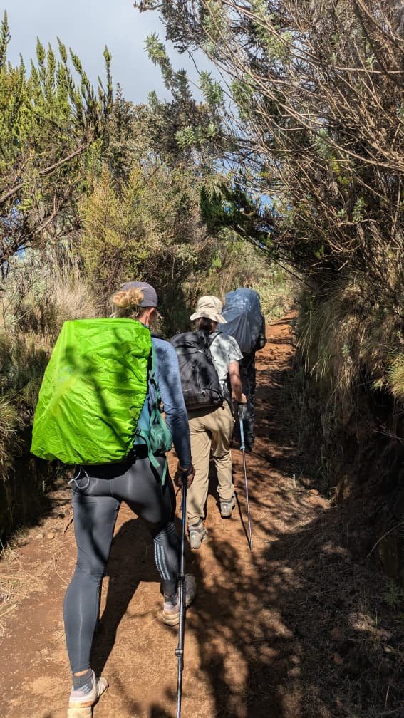 Premium Marangu Route Group Departures: Expert Trekking Guide 2026-2027-2028