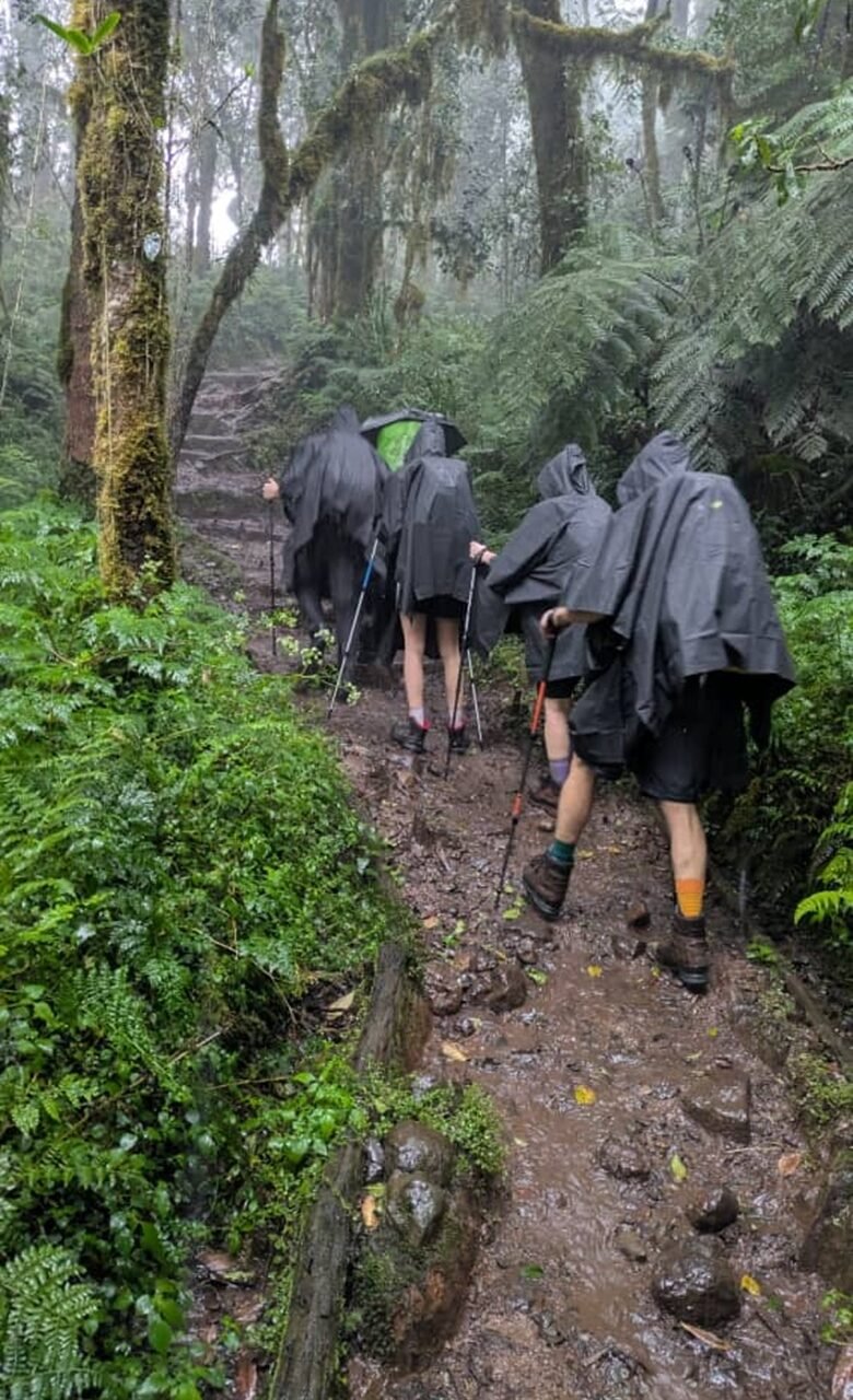 Join 6 Days Marangu Route – 23 December 2026 Departures | Festive Kilimanjaro