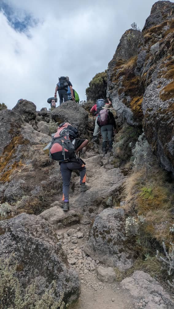 September Kilimanjaro Crowd Levels 2026-2027