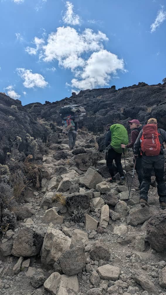 Kilimanjaro Hiking, This New Year Summit Package: Expert Trekking Guide