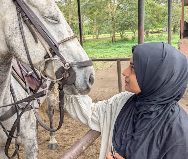Arusha National Park Horse Riding Tour Cost And Planning For 2026-2027