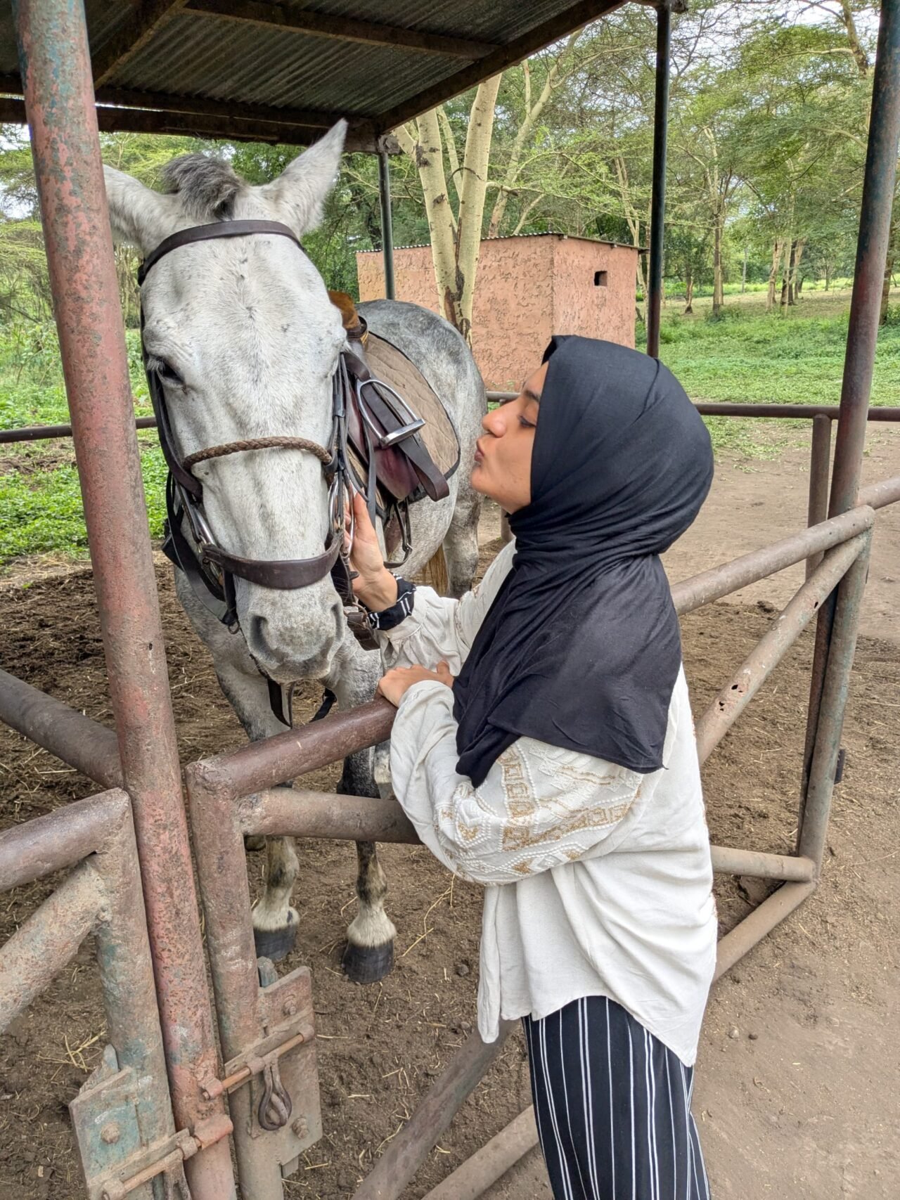 Where Can I Ride Horses In Arusha? Guide