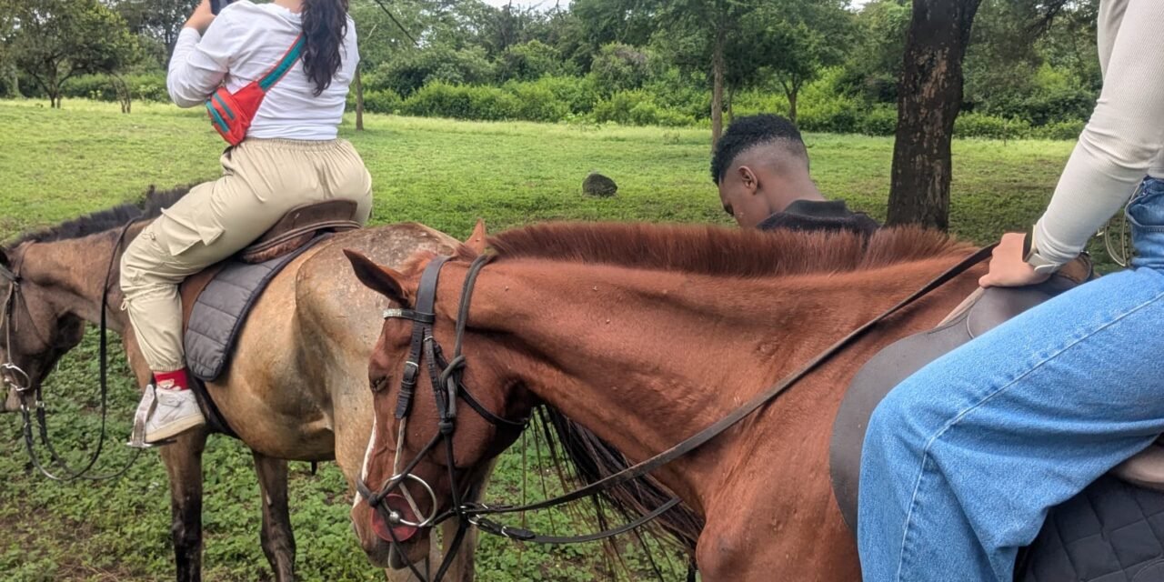 Serengeti Horse Riding Safaris: An Unforgettable Way To Explore 2026-2027