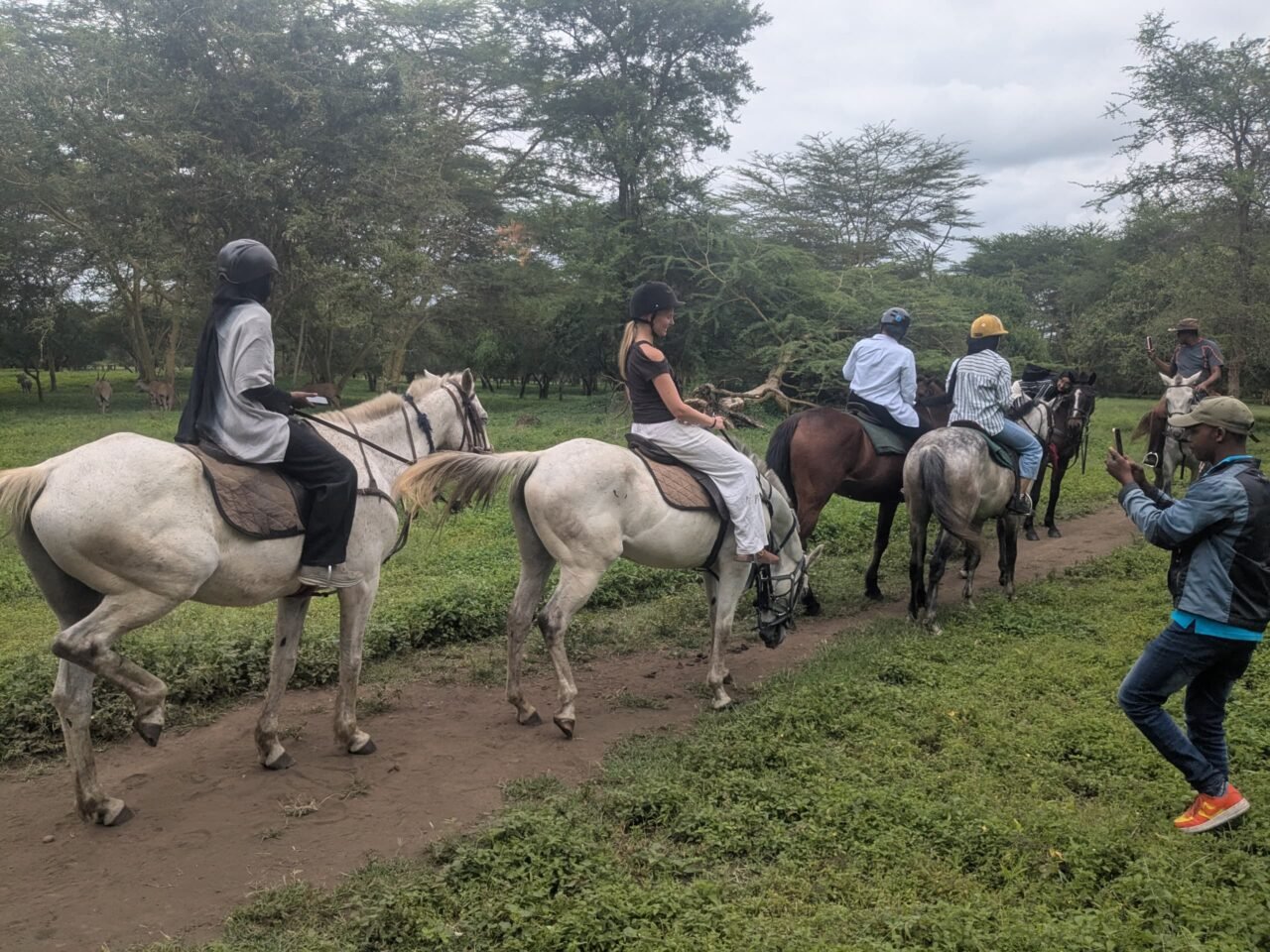 Moshi Horse Riding Tour: An Unforgettable Tanzanian Adventure 2026-2027