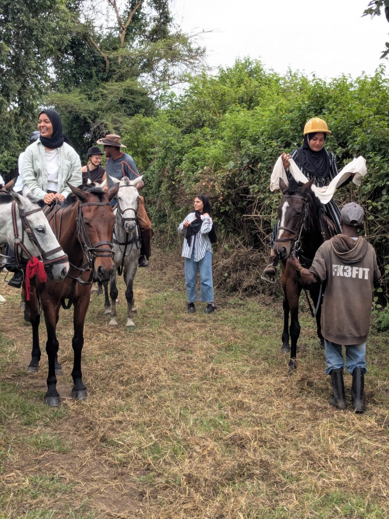 How Much Is Horse Riding In Zanzibar? Costs, Options & Planning 2026-2027