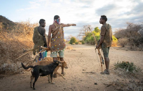 Best Tanzania Safari With Hadzabe Tribe Visit: Guide 2026-2027