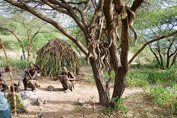 Hadzabe Tribe Tour Cost And Entry Fees: Complete Guide 2026-2027