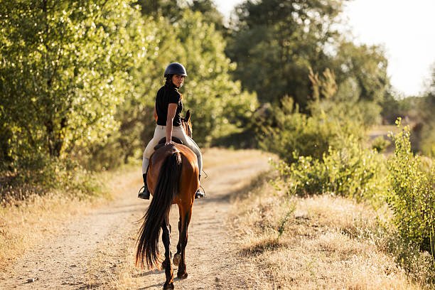 Tanzania Horse Safari Packages: Ride Through The Wilds In 2026-2027