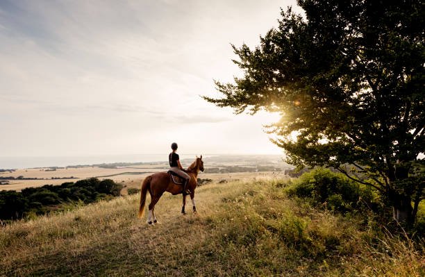 Arusha National Park Wildlife Horse Safari: An Unforgettable Tanzanian