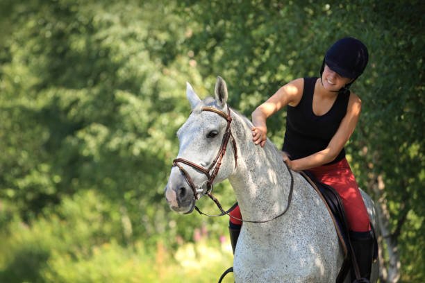 Luxury Horseback Safari Tanzania Cost: Your Guide 2026-2027