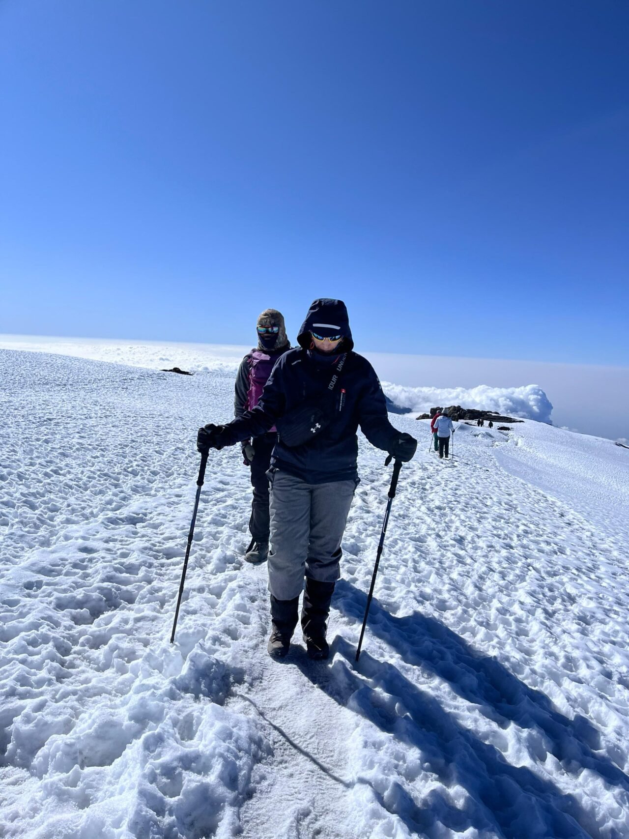 Join 7 Days Lemosho Route – 12 December 2026 Departure | Scenic Kilimanjaro Su