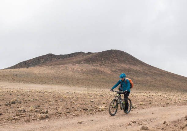 Northern Circuit Route Kilimanjaro Packages From Moshi: Expert Trekking Guide
