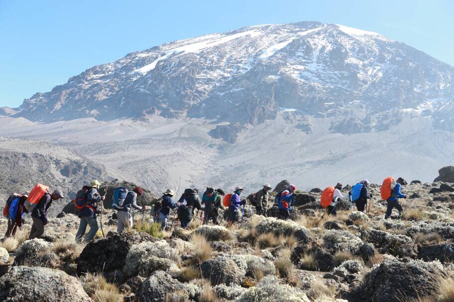 8-Day Group Joining Lemosho Route Kilimanjaro Climb 2026-2027