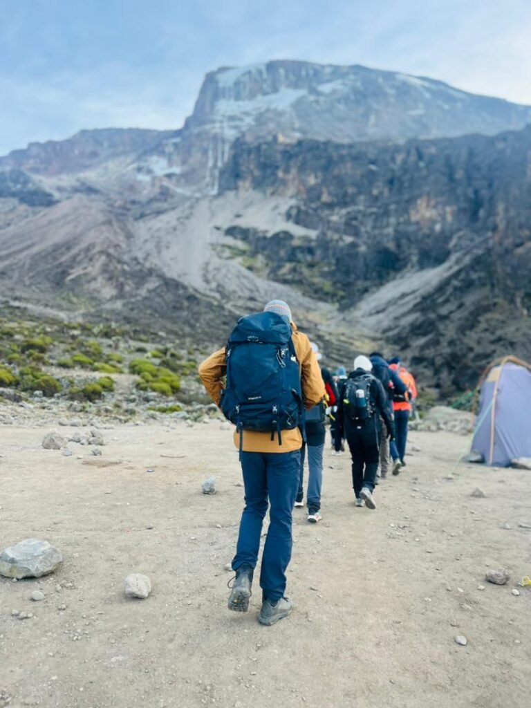 3 Day Lemosho Route Trek From Arusha – Kilimanjaro Hiking Itinerary