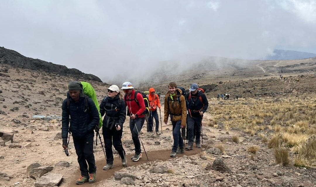 Luxury Kilimanjaro, Safari & Zanzibar Package: Your Ultimate Adventure