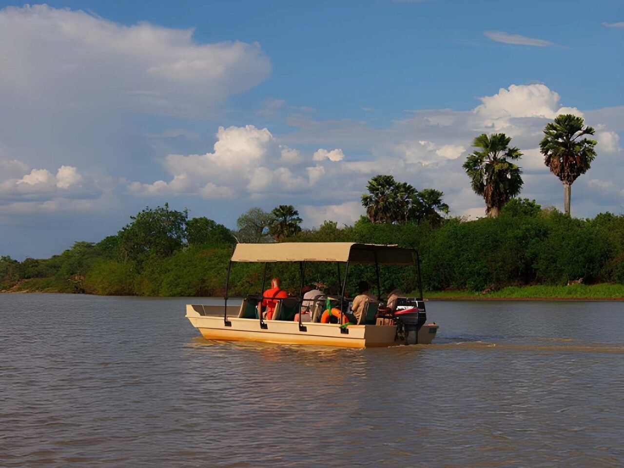 Shared 1 Day Fly-In Nyerere Safari From Zanzibar 2026-2027
