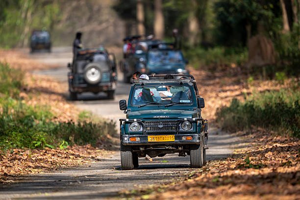 How To Travel From Zambia To Zimbabwe: Your Complete Guide For 2026-2027