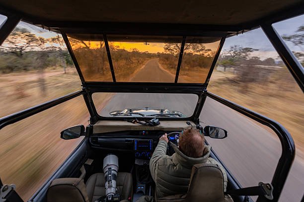1-Day Arusha Tanzanite Experience: Gemstone Tours & Shopping Guide 2026-2027