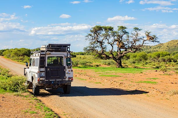 2 Days Serengeti Safari From Musoma (Camping Package) 2026-2027