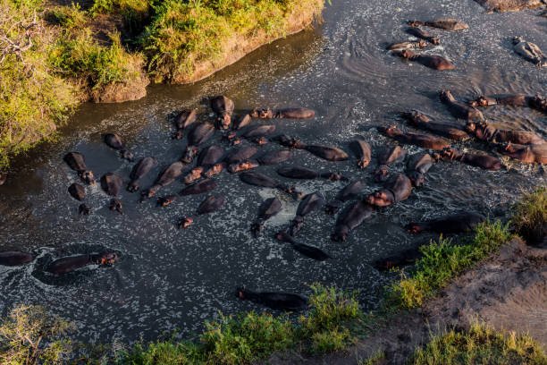9 Days Tanzania Luxury Safari with Balloon Experience