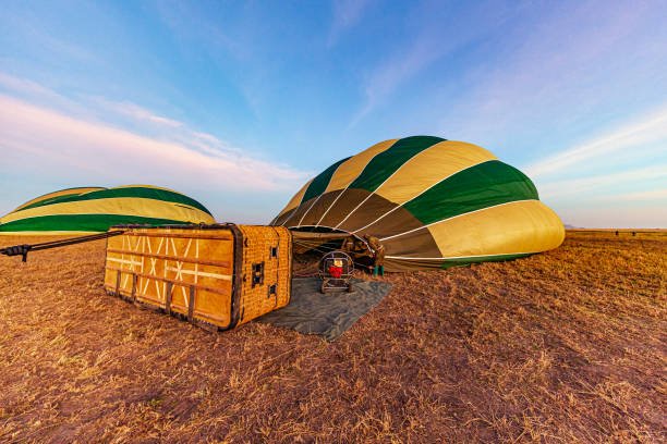 4 Days Ruaha Balloon and Wildlife Safari