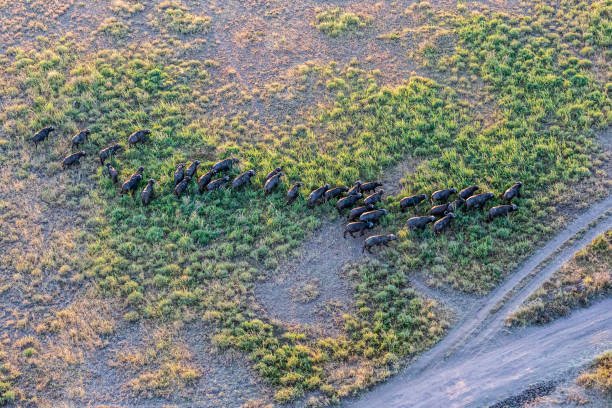 10 Days Tanzania Safari and Zanzibar with Balloon Flight