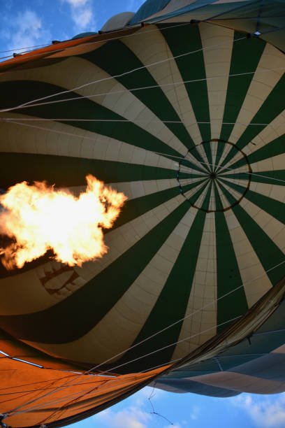3 Days Ruaha Safari with Balloon Ride