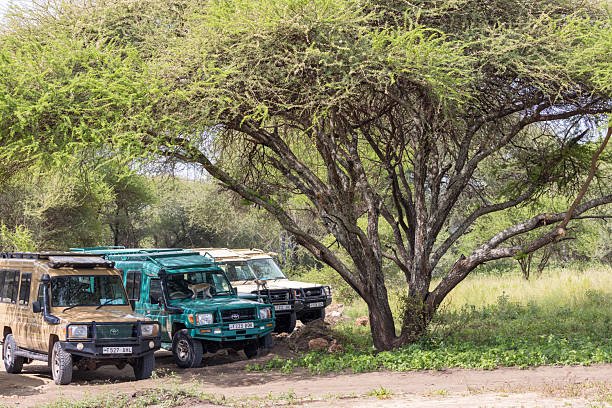 September River Crossing Safari From Moshi: Best Guide 2026-2027-2028