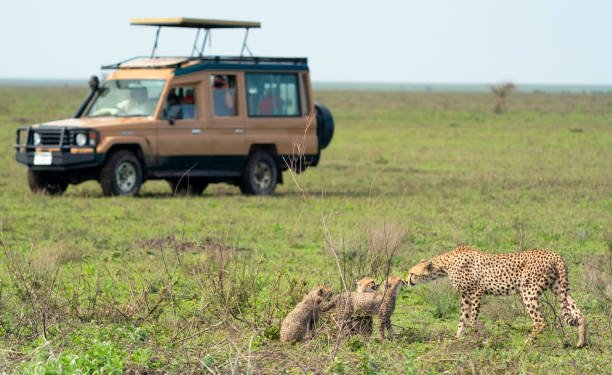 12-Day Tanzania Waterfalls And Mountains Tour: An Unforgettable Journey