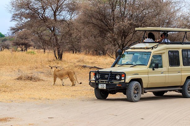 Ruaha Safari Cost And Price Guide For Adventures 2026-2027