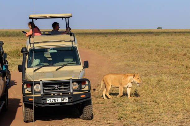 Unique Combination Packages For Tanzania Adventures In 2026-2027