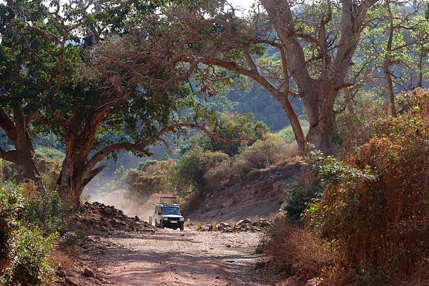 1 Day Luxury Safari From Moshi: Best Guide 2026-2027-2028